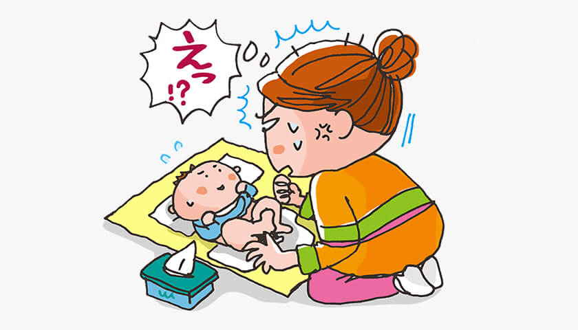 ���ǡ���Ρ�������봶���ɡ������륹����Ĳ��