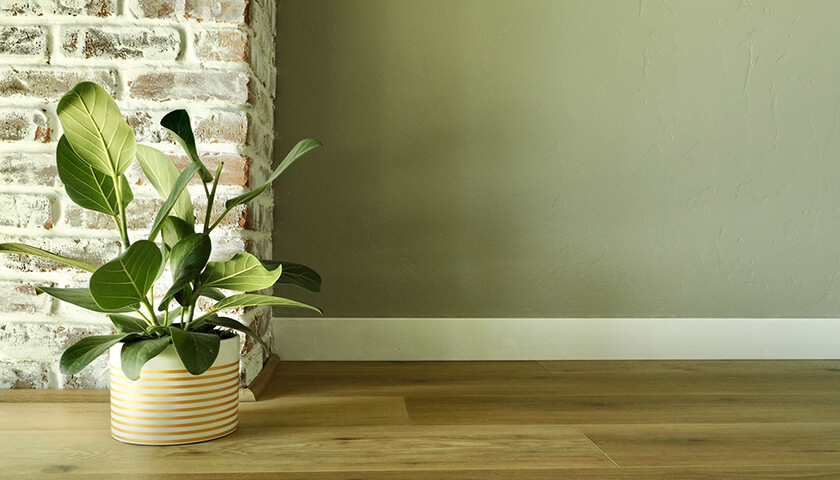 �������֤�ȯ�����դ��������δ����Ȥ�����԰¡��ɤ�ʼ��Ť��Ԥ��롩