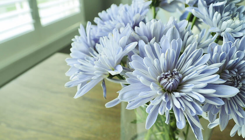 PSA�ͤ��⤤����Ω������β�ǽ�������롩�������ˤϿ�������ɬ�ס�