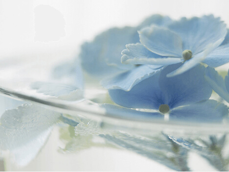 ���������ĤŤ��ȡ֥����Υߡ����饹�ɸ����פˤʤ�䤹�������ɤ���µ����Τꤿ��